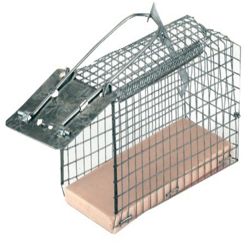 Piège à souris multi capture | Angle 90 degrés, 2 entrées