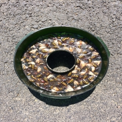 Piège à guêpes et frelons