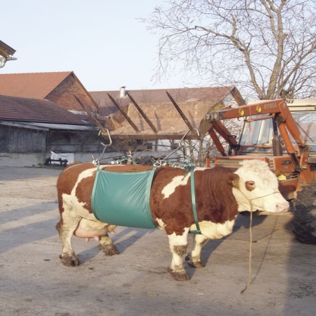 Harnais de transport bovin - "Daisy Lifter"