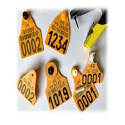 Pince Allflex 3 en 1