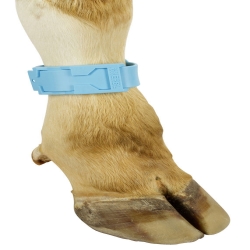 Bracelet plastique à ouverture plastique