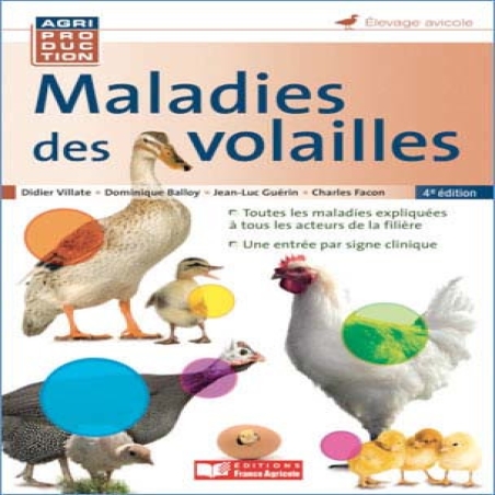 Maladie des volailles