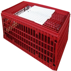 Cage transport volailles - Grand modèle