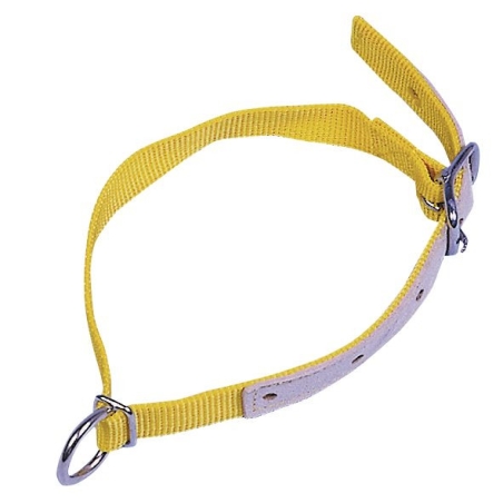 Collier Nylon jaune - Ovin / Caprin - 60cm