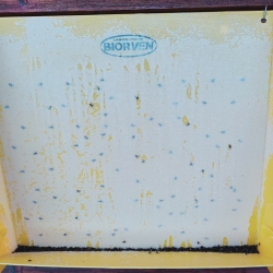 Insecticide MOSCAREX