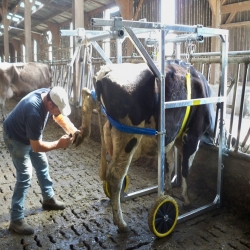 Cage de parage sur cornadis