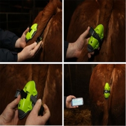 Détecteur de vêlage -MOOCALL