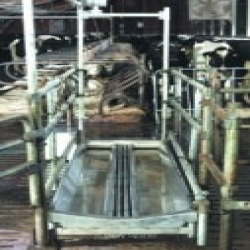 Pédiluve de passage inox VINK