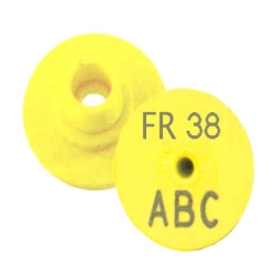 Boucle porcelet marquée -...