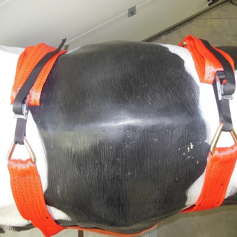 Harnais de transport bovin- UP COW-800kg