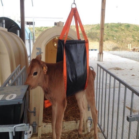 Harnais de levage pour cheval, vache, âne