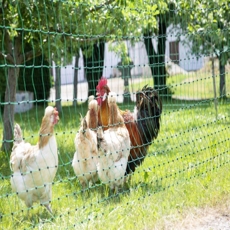 Filet électrique vert de 50 mètres pour volailles-Clôture Agro Direct