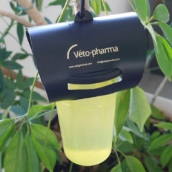 Piège à frelon asiatique