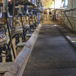 TAPIS EN ROULEAU IDS 16T - Largeur standard