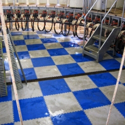 Dalle IDEX de couleur- 50,1x50,1cm