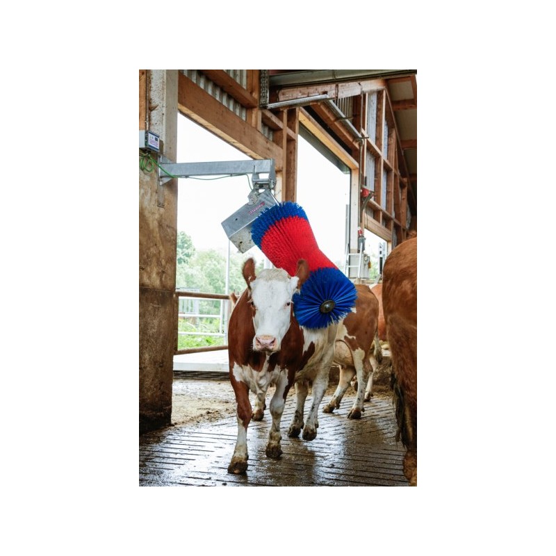 Brosse d'étable HAPPYCOW MaxiSwing