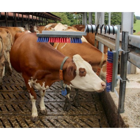 Agritura Etrille à Vaches Galvanisée – 2 Rangées – Outil De Pansage Robuste