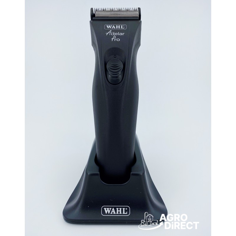Tondeuse électrique 900 W - 6 Vitesses Réglables - Max 2800 Tr/min