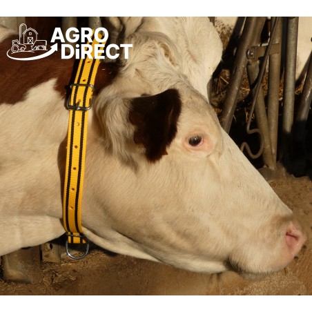 Collier vache noir et jaune