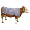 Couverture pour vache