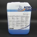 Shampoing Kenopro 10L