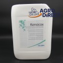 Désinfectant KENOCOX 10L