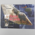Signes de boiteries