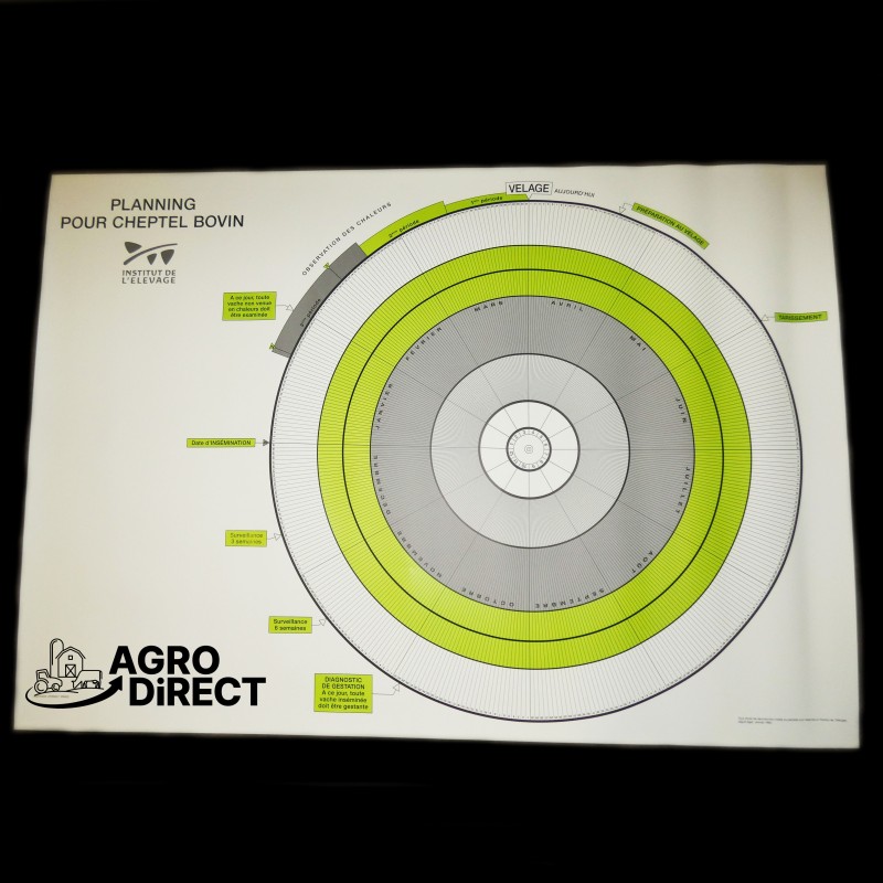 Planning de fécondité