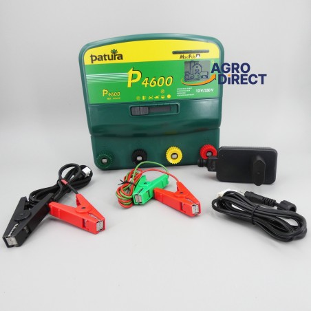 Poste combiné P4600 - PATURA