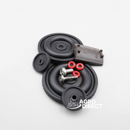 Kit entretien pour Pulsateur Interpuls L02 rapport 60/40