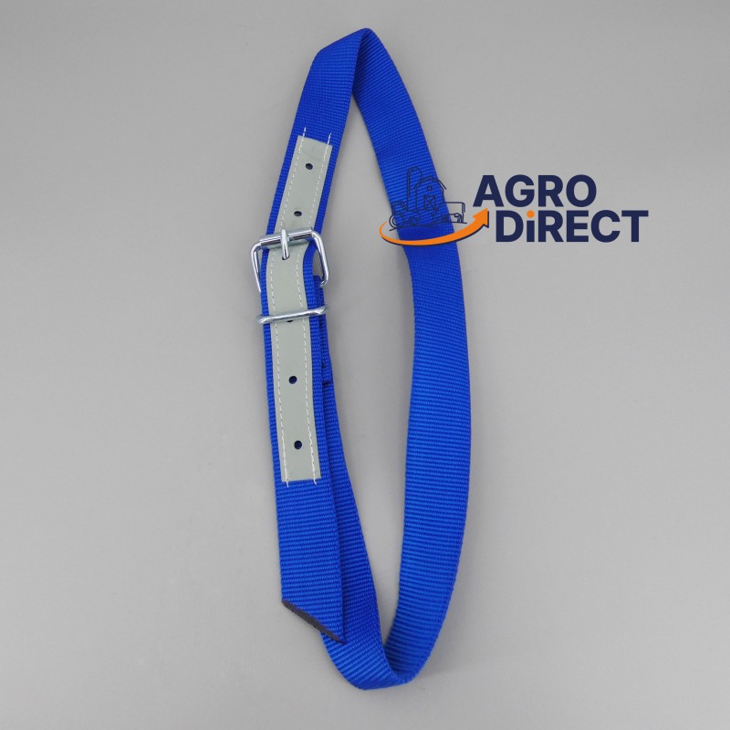 Collier pour identification - Bleu