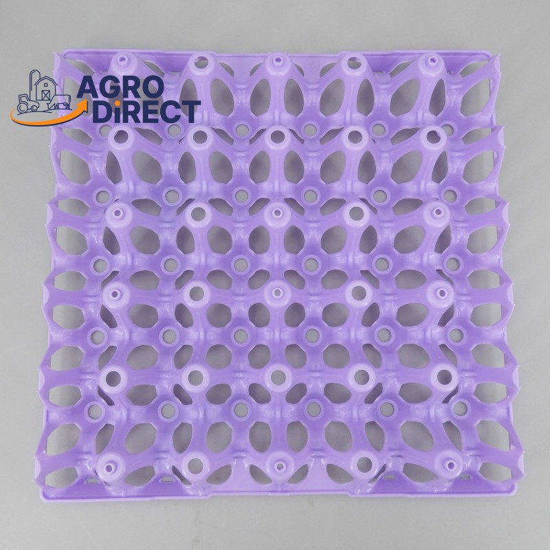 Alvéoles 30 œufs- PAR 10