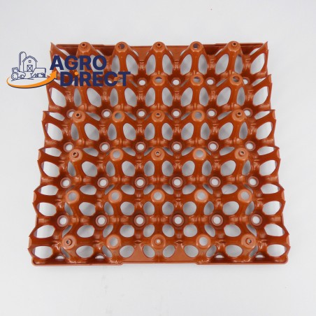 Alvéoles 30 œufs- PAR 10