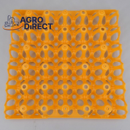 Alvéoles 30 œufs- PAR 10