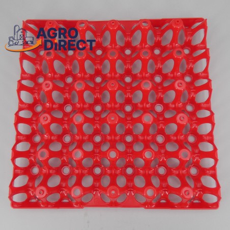 Alvéoles 30 œufs- PAR 10