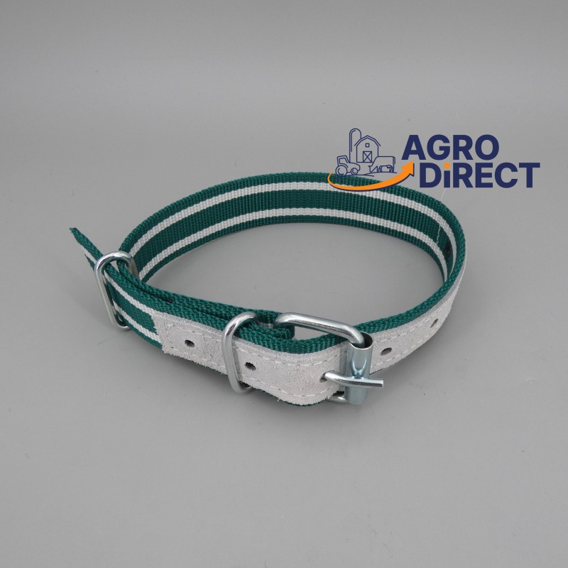 Collier Nylon vert/blanc - Ovin / Caprin - 65cm
