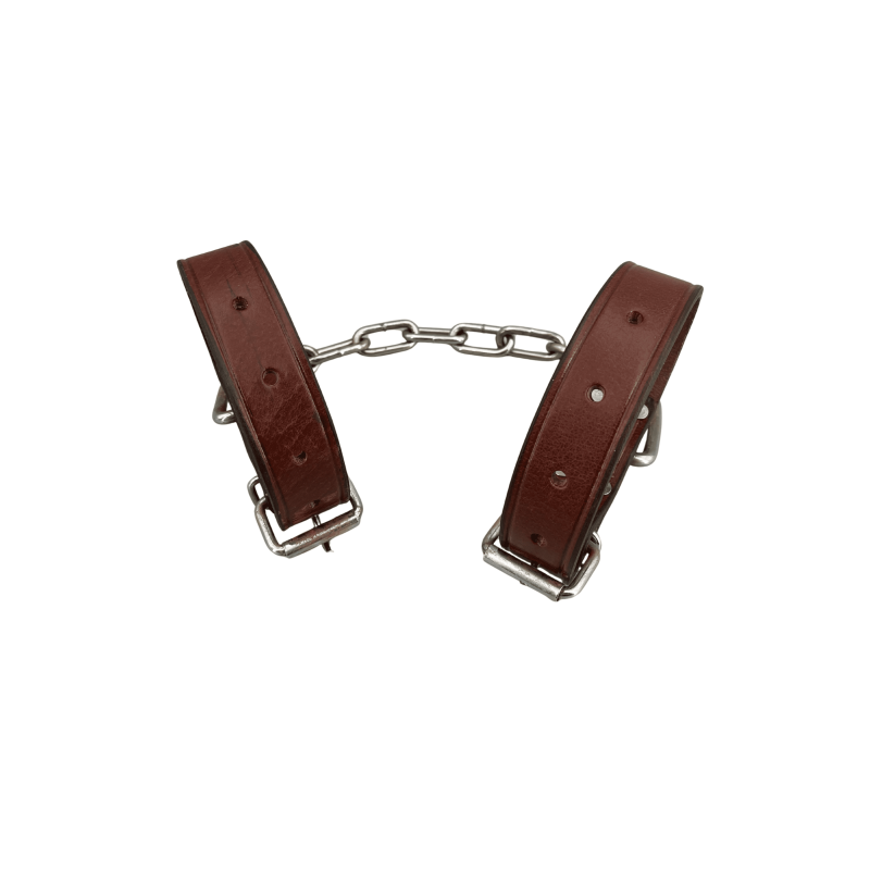 Entrave Cuir avec chaîne