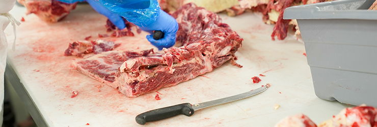 Couteaux de boucher professionnels pour la transformation de la viande